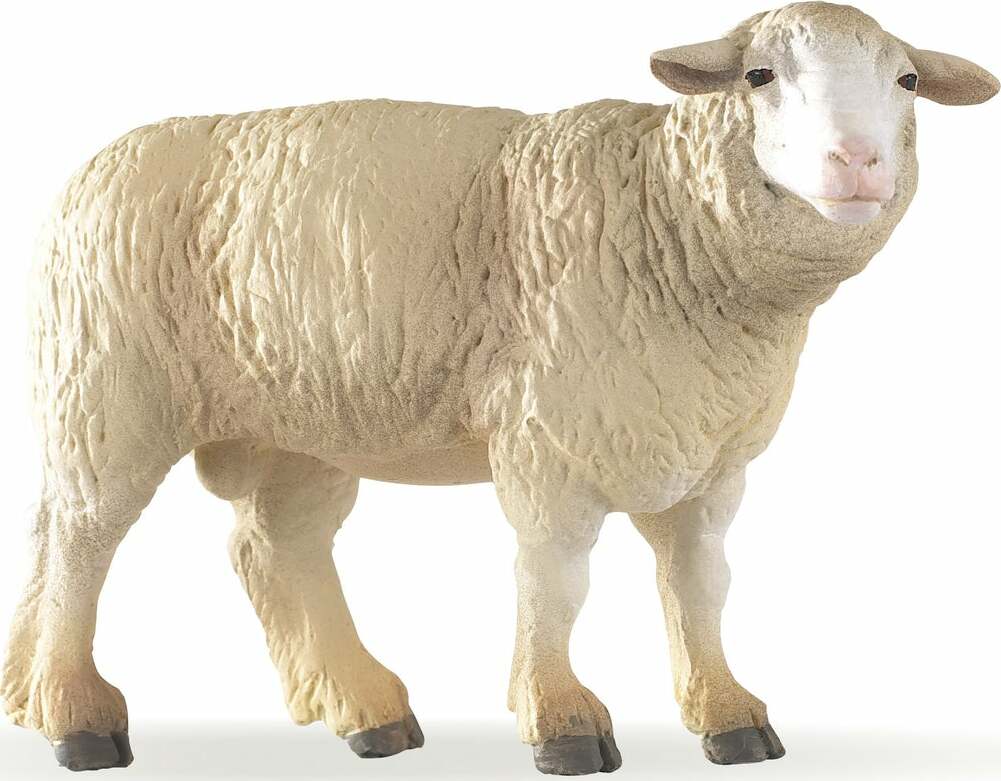 Papo France Sheep