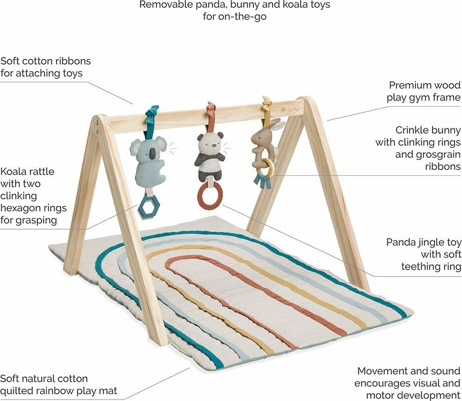 Ritzy Activity Gym - Wooden Activity Gym with Play Mat and Toys (Rainbow)