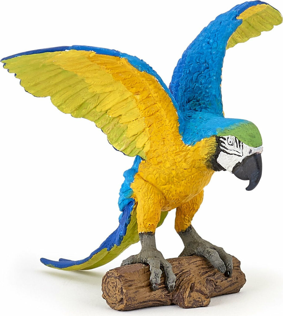 Blue Ara Parrot
